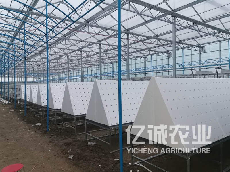 薯類作物的溫室大棚怎么建設(shè)？造價(jià)高不高？